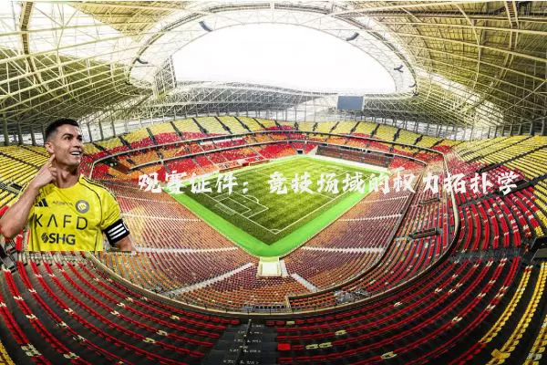 观赛证件:竞技场域的权力拓扑学